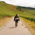 Na Mythos Mosel psy są mile widziane