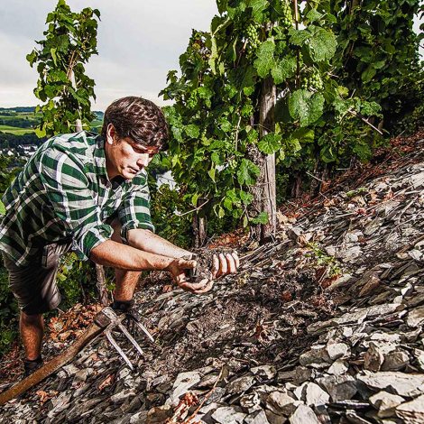 Matthias Meierer w winnicy ©Weingut Meierer